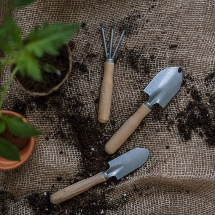 Three gardening tools on table with soil: shovel, rake, and trowel.
