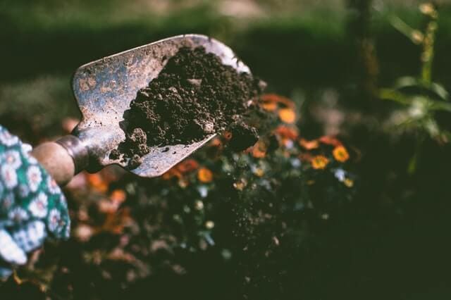 A person holding a shovel filled with dirt, ready for gardening or construction work.